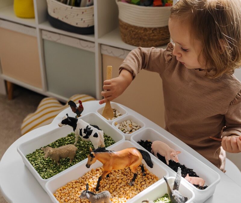autism play activities