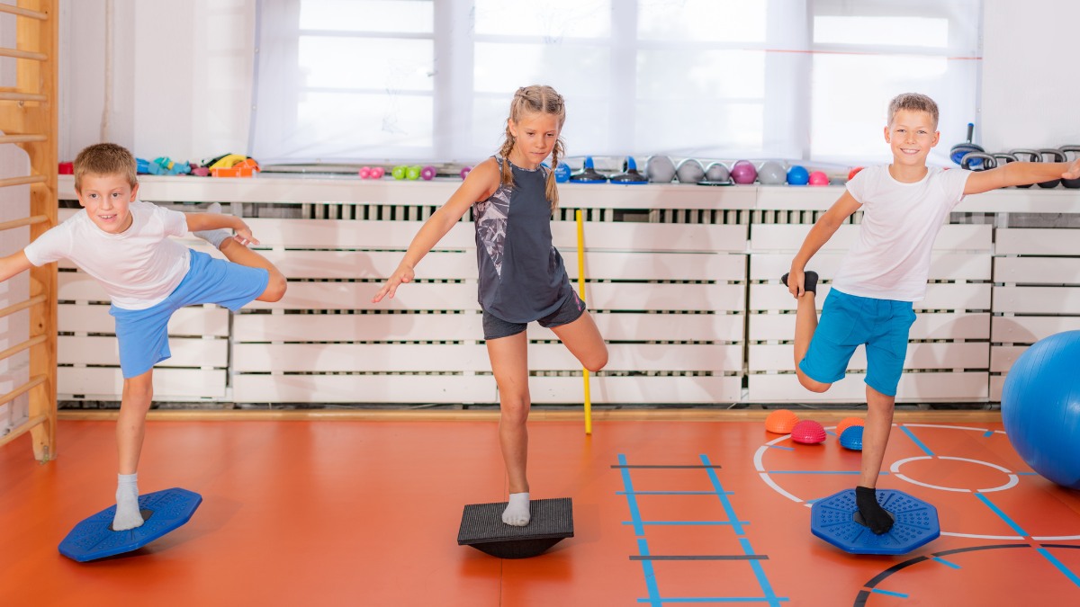 vestibular input and autism